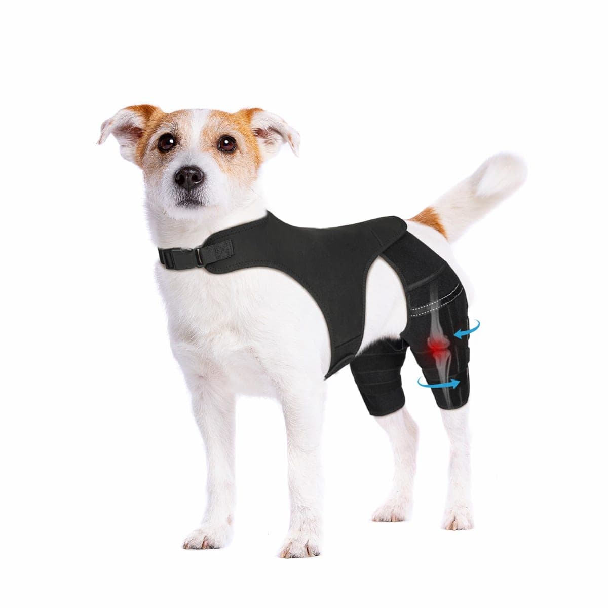 Pawfun Dog Knee Brace for Torn ACL Hind Leg, Dog Leg Braces for Back Leg Support with 4 Metal Stabilizers Helps with Torn CCL, Luxating Patella, Ligament Injuries, Hip Dysplasia,S — image 1