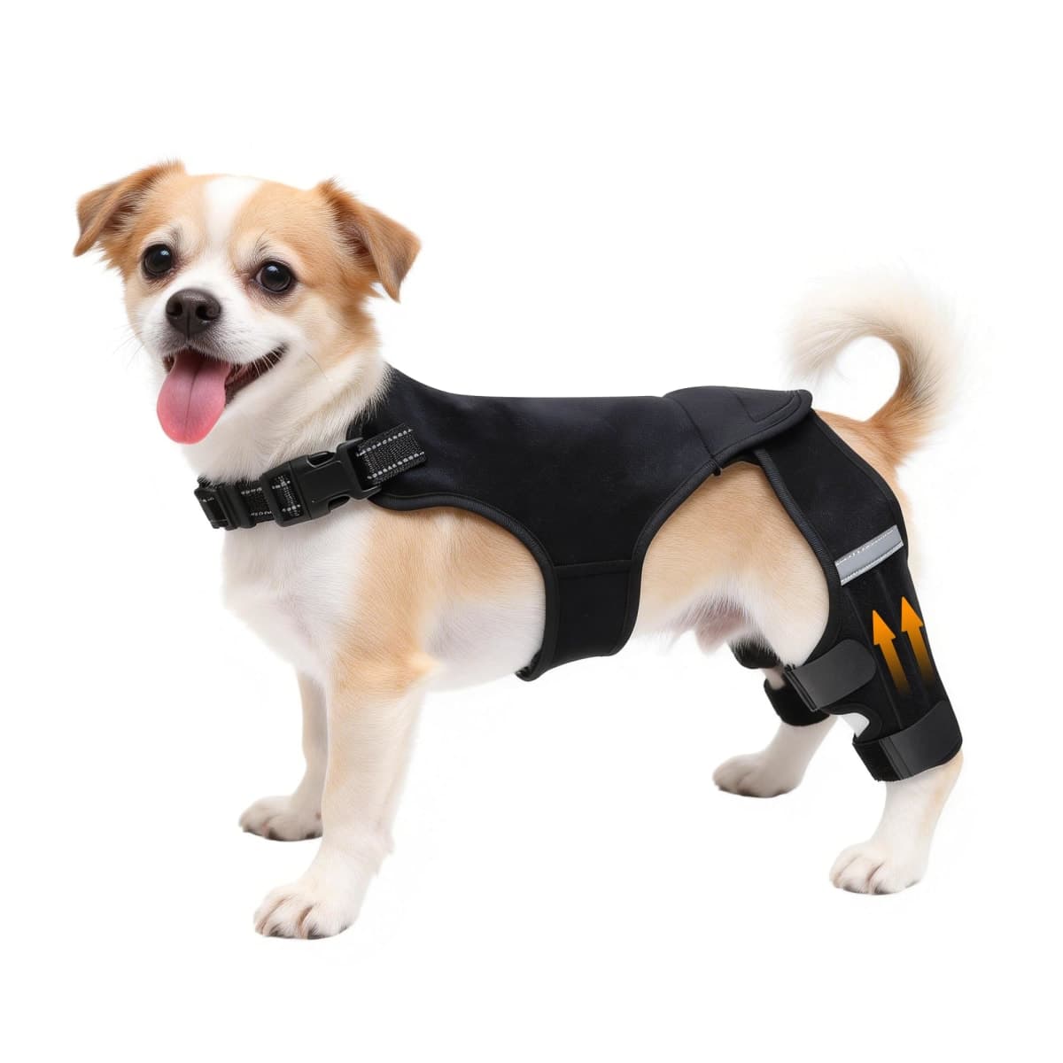 ALYBIT - New / Open Box | Dog Supplies