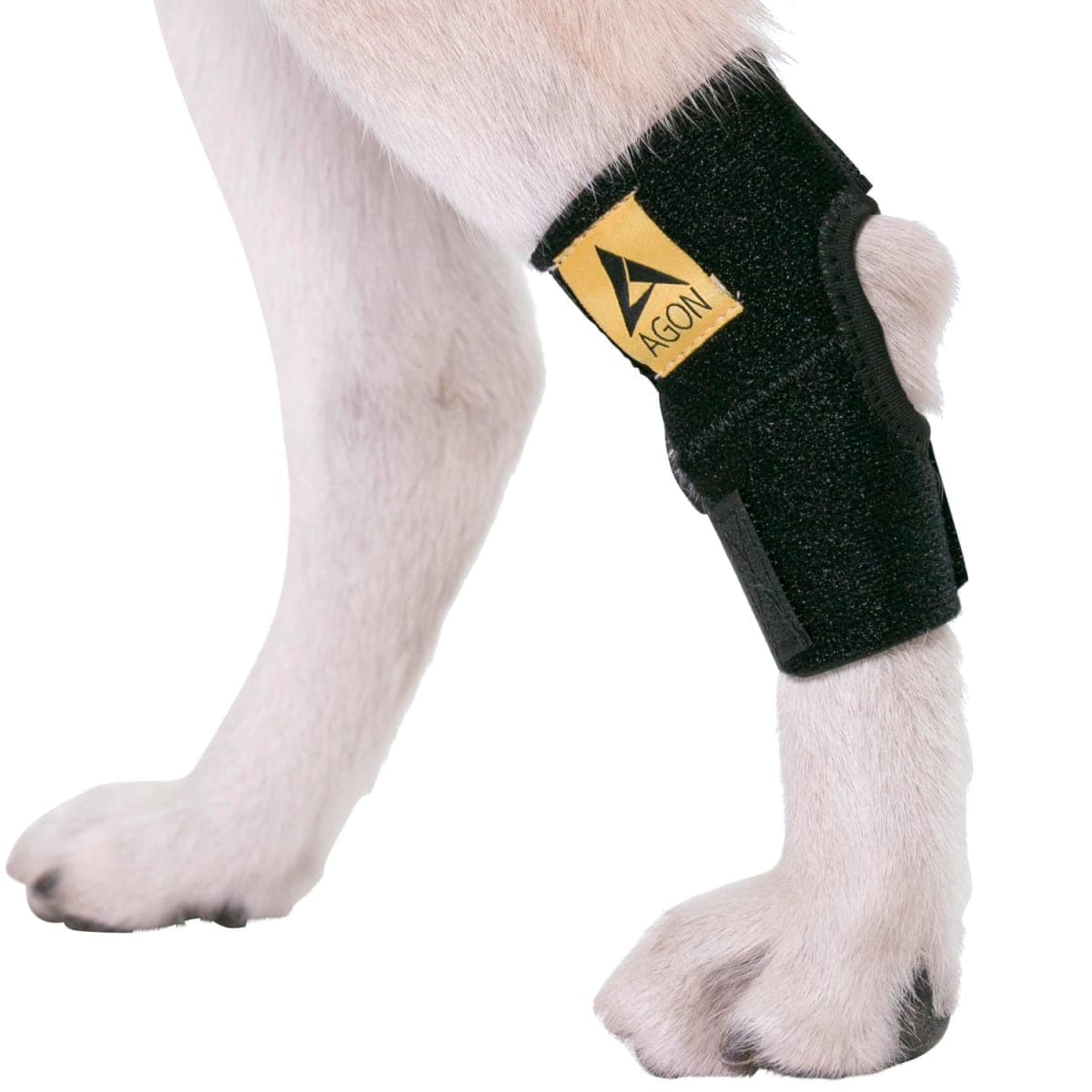 AGON - New / Open Box | Dog Supplies
