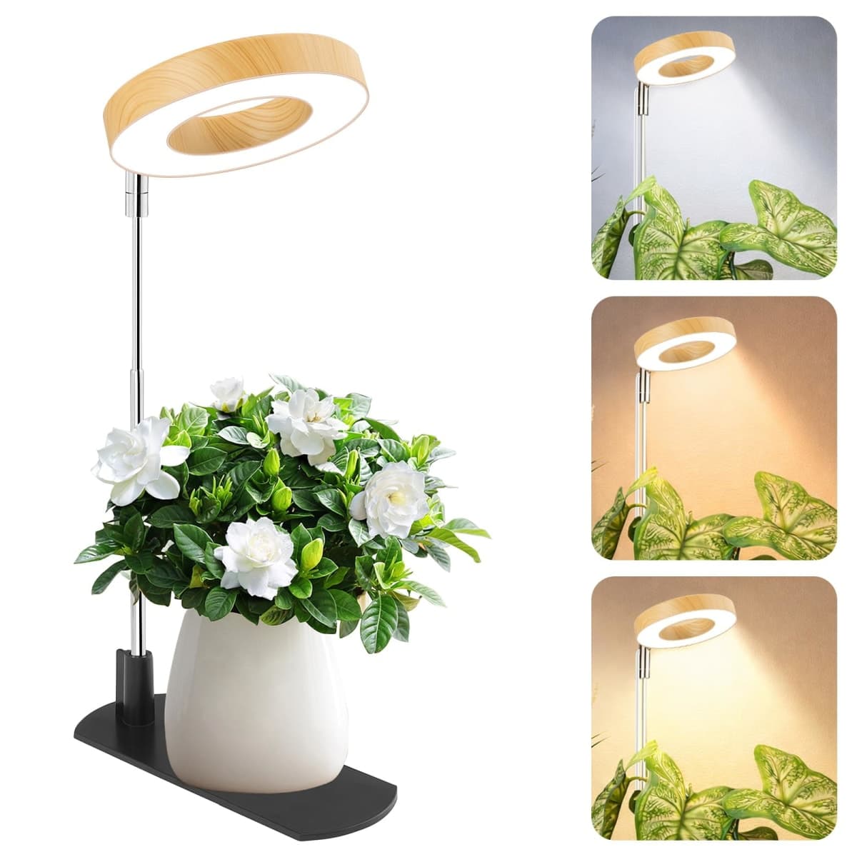 Grow Light for Indoor Plants, Full Spectrum Halo Plant Grow Light with Base, Height Adjustable Plant Growing Lamp with Auto On/Off Timer 4/8/12H, 4 Dimmable Brightness, for Small Plants, White — image 1