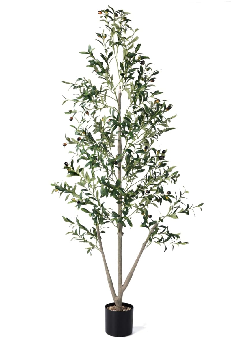 NOVAROOT - Sealed | Decor