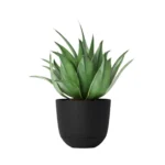 Black Room Essentials self-watering planter pot, perfect for indoor or outdoor use.