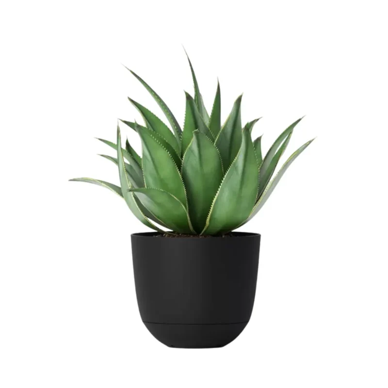 Black Room Essentials self-watering planter pot, perfect for indoor or outdoor use.