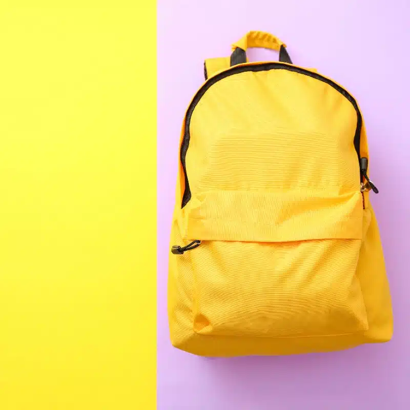 Backpacks and Lunch Bags - Product Category