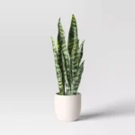 Tabletop Arrangement