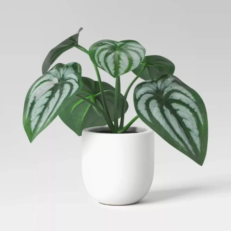 Target 5.5" Mini Tabletop Peperomia Artificial Plant - Threshold™