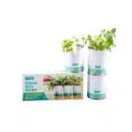 Three-pack of organic herb garden kits (Basil, Mint, Cilantro) ready to grow. No transplant needed!