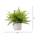 Tabletop Arrangement 065070100