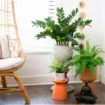 Tabletop Arrangement 065070100