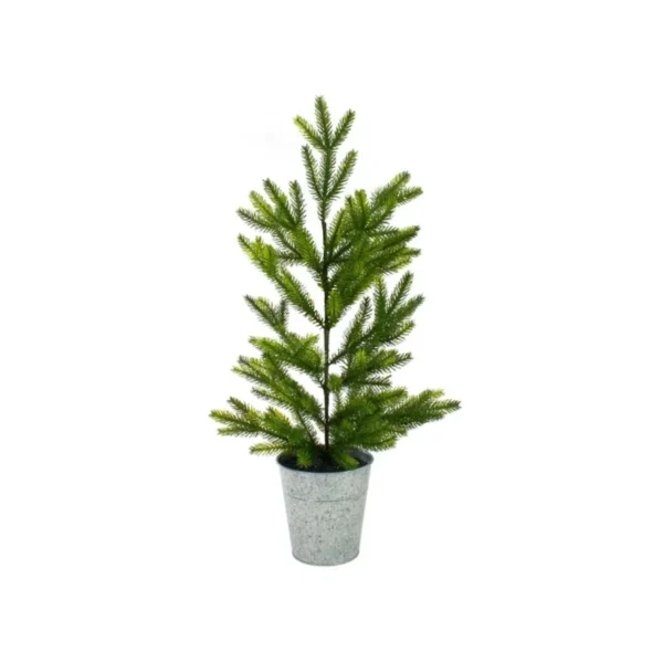 Potted mini tree
