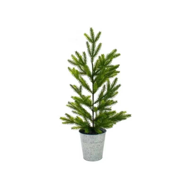 Potted mini tree