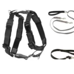 PetSafe 3-in-1 Dog Harness with Leash; Redirects Pulling, Prevents Tangles; Comfortable Padded Handle