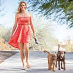 Brown WIGZI 2025 double dog retractable leash with LED light, 10ft leads, and independent braking system.
