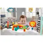 Fisher-Price baby toy with colorful design Fisher-Price baby toy for sensory development Fisher-Price baby toy gift for infants Fisher-Price baby toy safe materials closeup Fisher-Price baby toy during toddler playtime