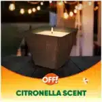 OFF! Backyard Citronella Scented Candle, Ambiance Enhancing Centerpiece, Burns for up to 25 Hours, 16 oz (Pack of 2)
