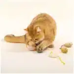 Five small catnip mouse toys, perfect for playful cats. Get yours today!