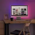 13.1' LED Flexible Strip Rope Light West & Arrow Ombre Color