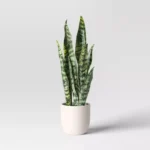 16" Medium Tabletop Snake Artificial Plant - Threshold™