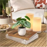 5.5" Mini Tabletop Peperomia Artificial Plant - Threshold™