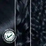 Garnier Nutrisse 22 intense blue black