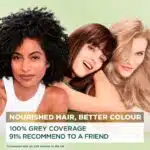 Garnier Nutrisse Ultra Crème 70 Dark Natural Blonde