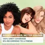 Garnier Nutrisse Ultra Crème, Permanent Hair Dye, 100% Grey Coverage, Vegan Formula, Nourished Hair, Long-Lasting Rich Colour, 53 Medium Golden Brown, 1 Application, Packaging May Vary