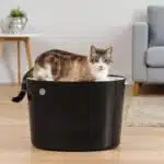 Iris Ohyama, Cat Litter Tray with Grooved Lid/Top Cover, No Odor and Litter Spill, Large Entrance, Scoop Included, for Cat - Cat Litter Box Jump-in PUNT-530 - Black