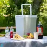 Koolatron Portable Cooler - Electric Cooler for Car, Camping, Travel, 12 V Insulated Hard Sided Refrigerator for Vehicle, Boat, Truck, Warming & Cooling, Cools Drinks,Food for Road Trip, 18 qt