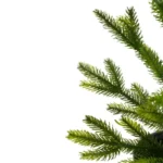 Northlight 2' Potted Pine Medium Artificial Christmas Tree - Unlit