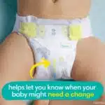 Pampers Swaddlers Active Baby Diapers, Size 5, 100 Count