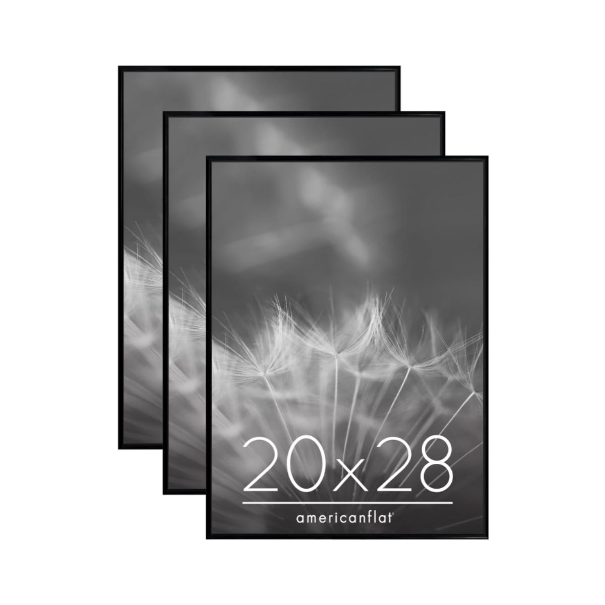 20x28 Picture Frame - Americanflat Black Set of 3 Americanflat 20x28 picture frame in black with polished front cover