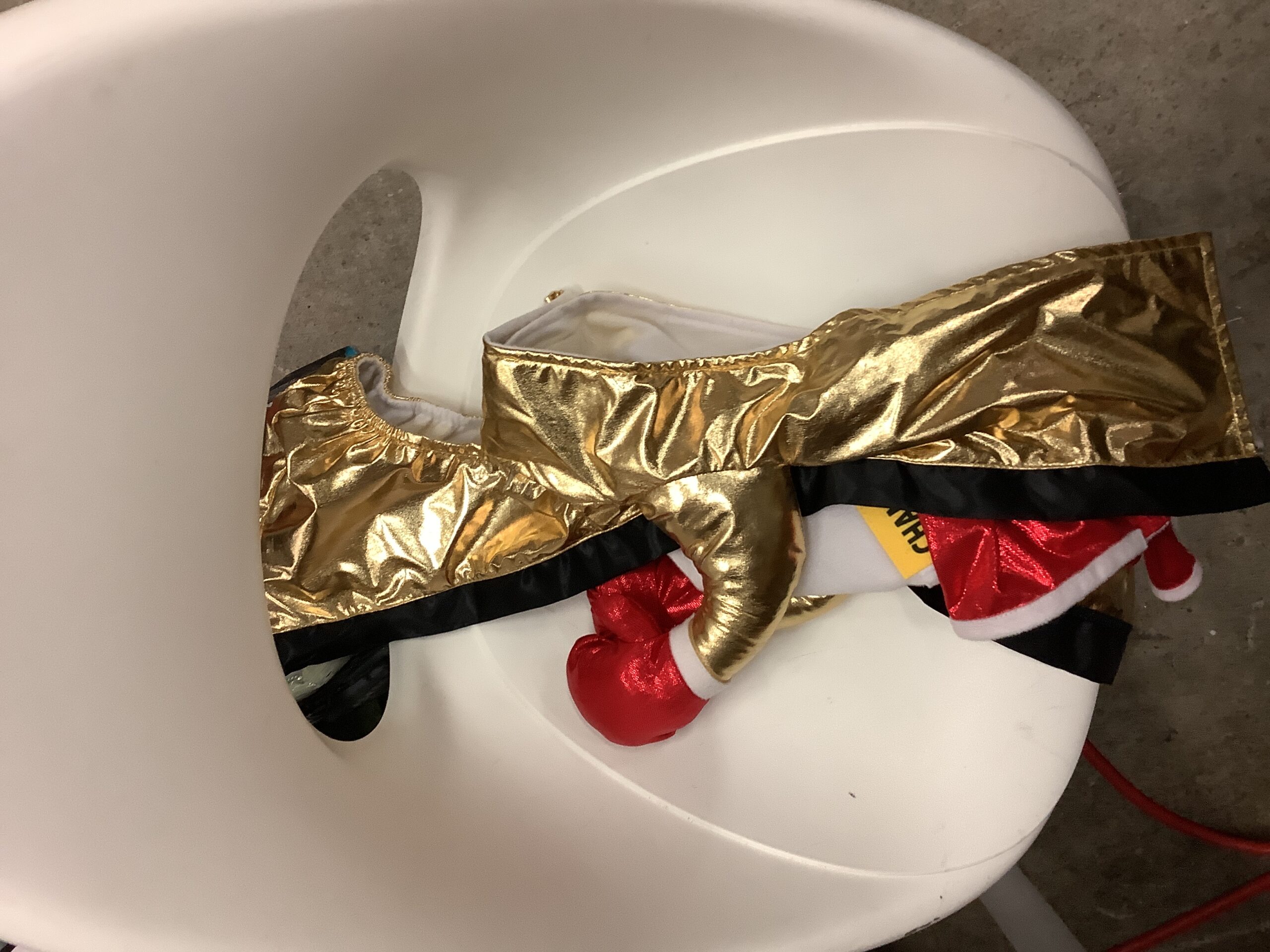 Boots & Barkley halloween dog costume in XL size for pets