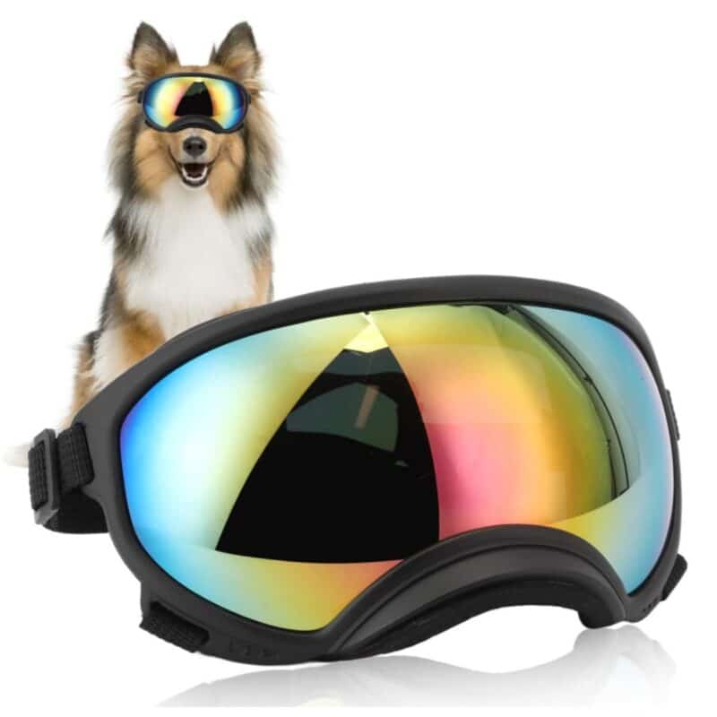 VGEBY dog goggles with anti UV sunglasses and adjustable elastic strap for large breeds