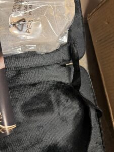 Eastar student alto saxophone E flat for beginners with full kit and golden lacquer finish