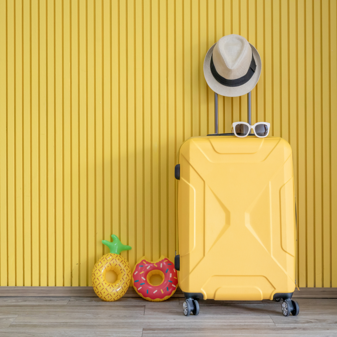 Luggage Travel Gear - Pay4more.ca