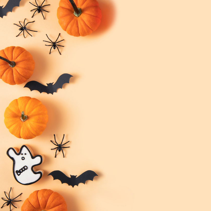 Halloween decorations - Pay4more.ca