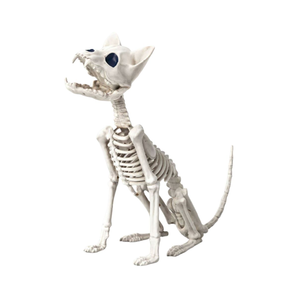 Chihuahua Skeleton Halloween Prop - Hyde and EEK! 11.5 Inch Hyde and EEK! chihuahua skeleton halloween prop in spooky indoor setting