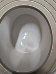 IRIS USA top entry cat litter box large white for easy cat litter management