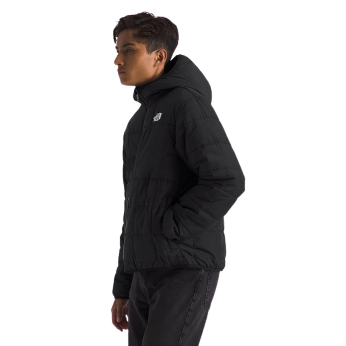 Reversible Shasta Jacket - THE NORTH FACE TNF Black THE NORTH FACE reversible shasta jacket in TNF Black for boys