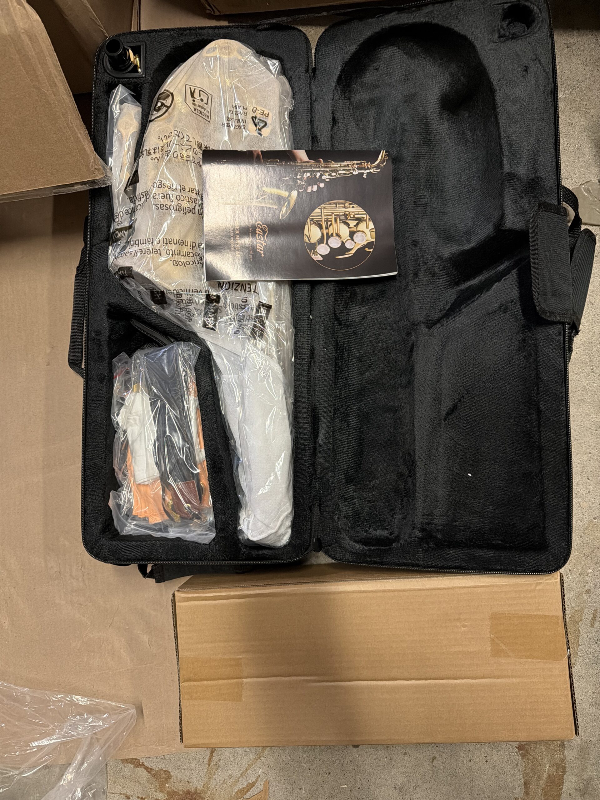 Eastar student alto saxophone in golden lacquer finish with full beginner kit