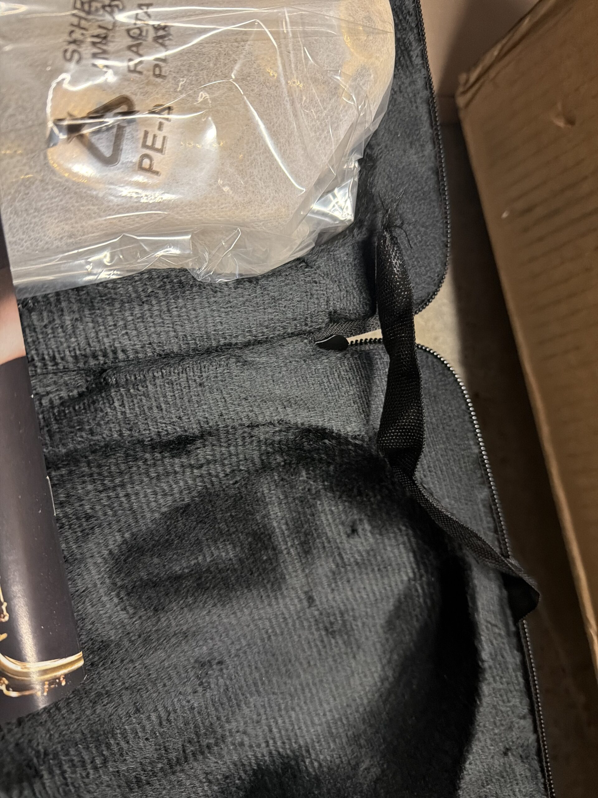 Eastar student alto saxophone in golden lacquer finish with full beginner kit